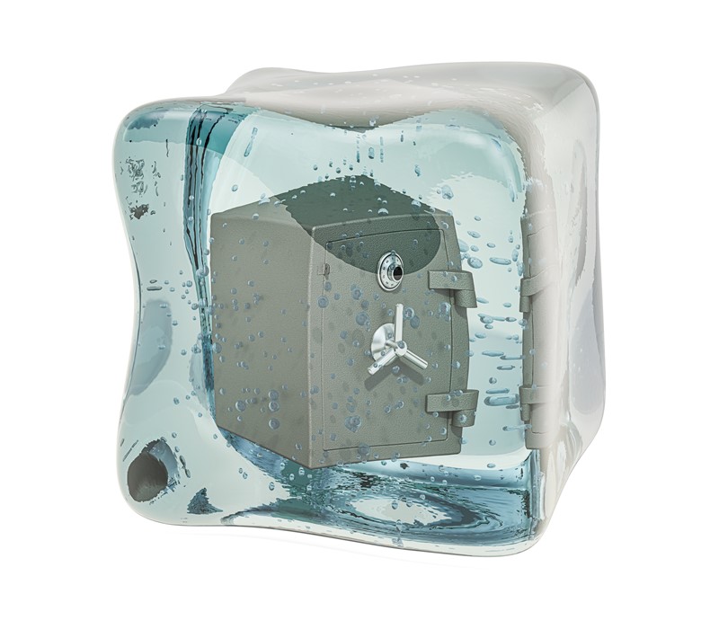 Wetsvoorstel Wet Excessief Lenen Bij De Eigen Vennootschap