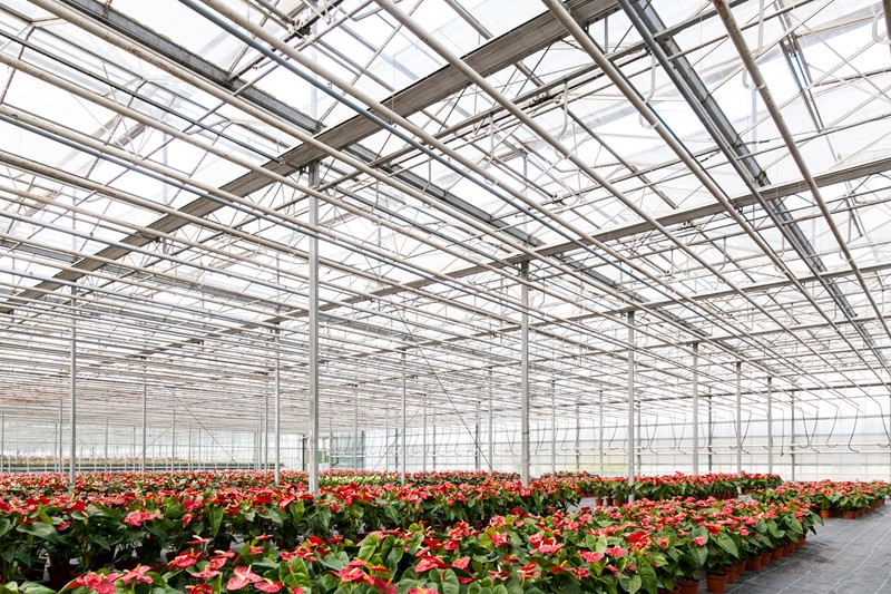 Fiscale Klimaatmaatregelen Glastuinbouw