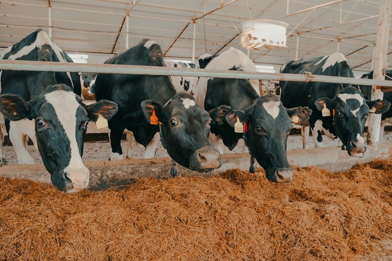 Aangepaste Emissiefactoren Bij Aanpak Piekbelasting En Lbv