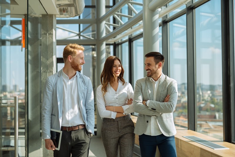 Hoe Een Foutje In Een Managementovereenkomst De Inspecteur Bijna In De Kaart Speelde