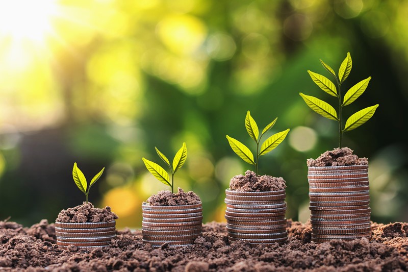 Milieulijst 2025 Vastgesteld