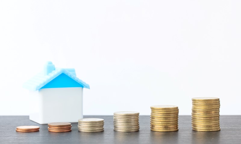 Excessieve Rente Op Aandeelhoudersleningen Doorbreekt Fbi-status