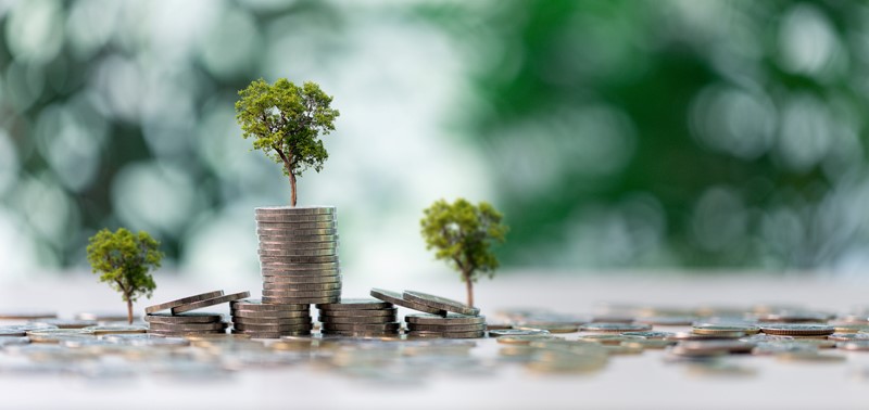 Kabinet Dicht Belastinglek In Box 3 Bij Obligaties